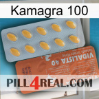Kamagra 100 43